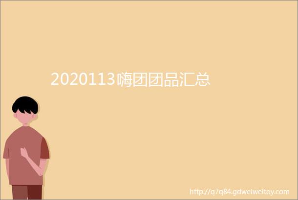 2020113嗨团团品汇总